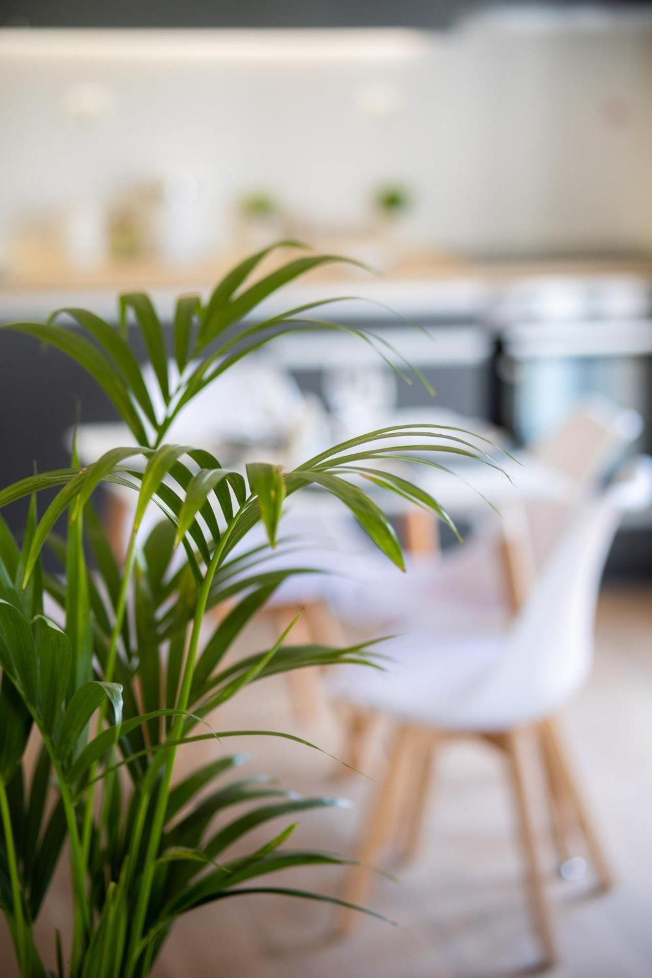 Volos Horizon Oasis Apartment #1 외부 사진